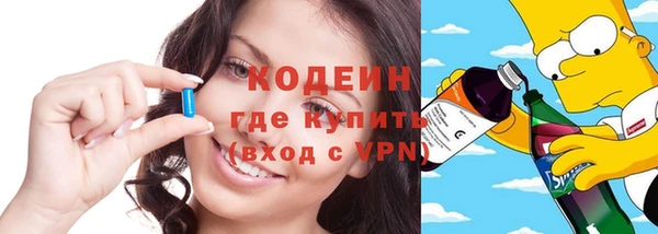 мет Алексин
