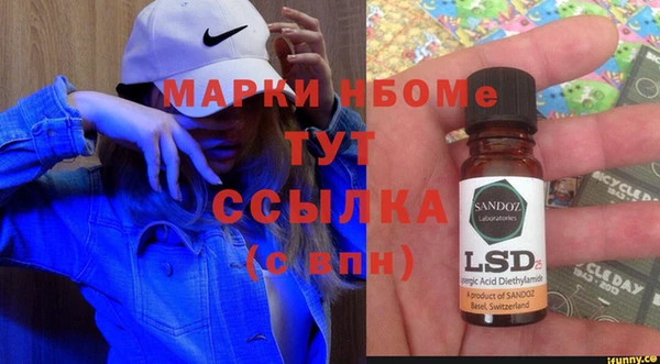 мет Алексин