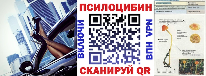 hydra ссылка  Новороссийск  Псилоцибиновые грибы прущие грибы  где можно купить  