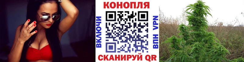 Бошки марихуана White Widow Новороссийск